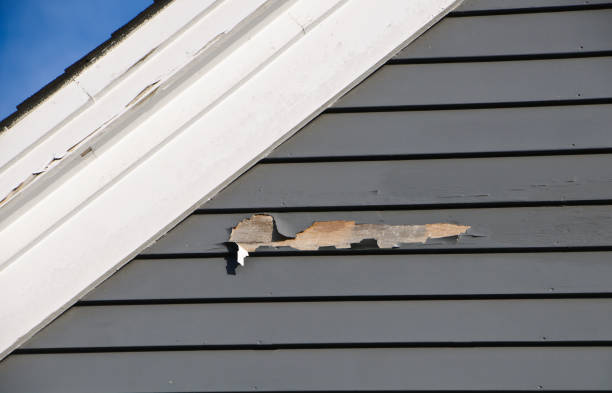 Trusted Eastover, NC Siding Installation & Repair Experts